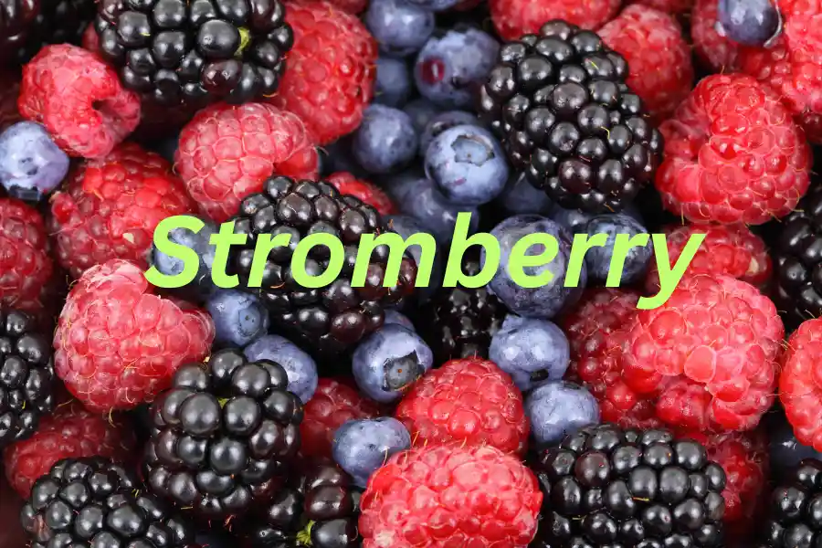 Stromberry