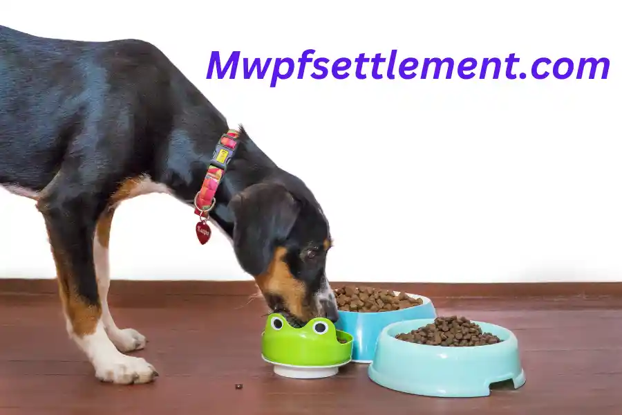What is Mwpfsettlement.com: Top 10 Alternatives of Mwpfsettlement.com
