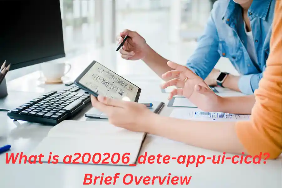 What is a200206_dete-app-ui-cicd? Brief Overview