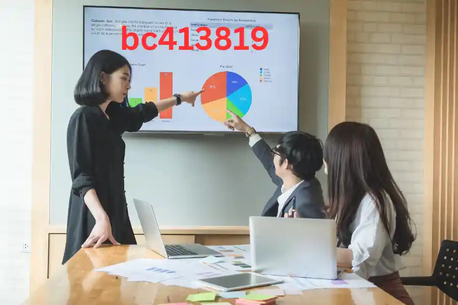 What is bc413819? Everything You Need to Know