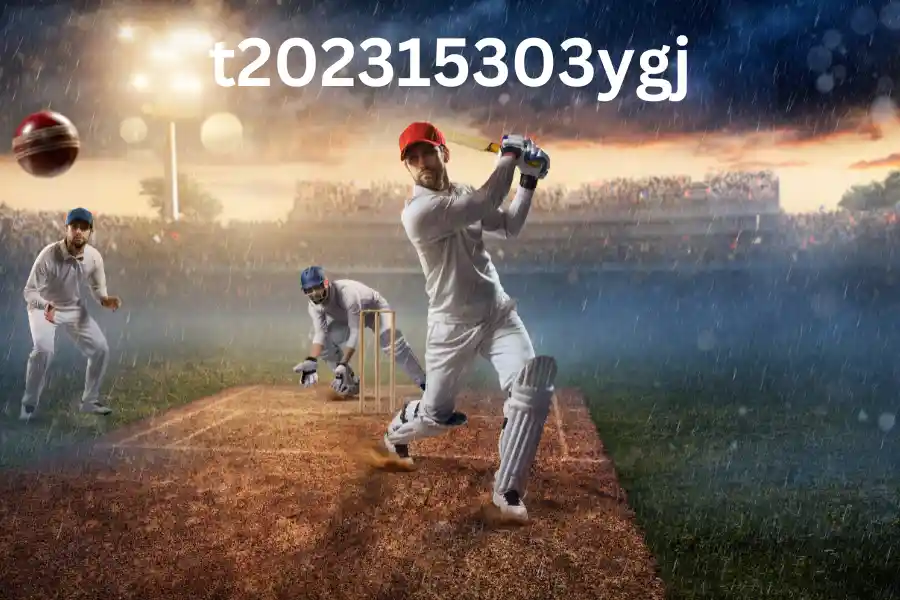 What is t202315303ygj? Everything You Should Know in 2024